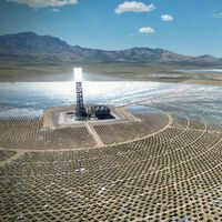 En 2014 se inauguró la gran planta de energía solar térmica del mundo. Después de 12 años cerró por incinerar pájaros