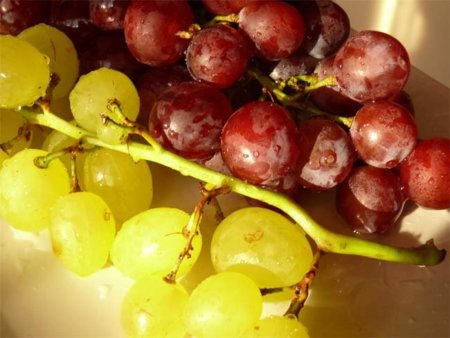 El mosto, una de las mejores bebidas para la salud