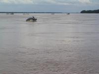 Avistar a los delfines de Irrawaddy en Kratie, Camboya 