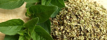 Orégano: propiedades, beneficios y su uso en la cocina 