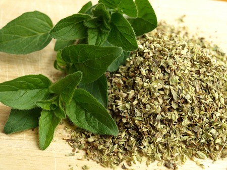 Resultado de imagen para oregano