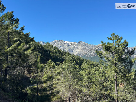 Las Ventajas De Tener Un Mar De Pinos Como Pueblo Son Muchas Pero Tambien Tiene Peligros