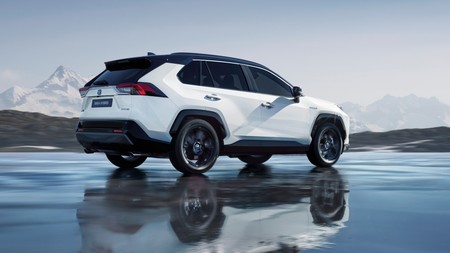 2019 Rav4 Hybrid Luxury