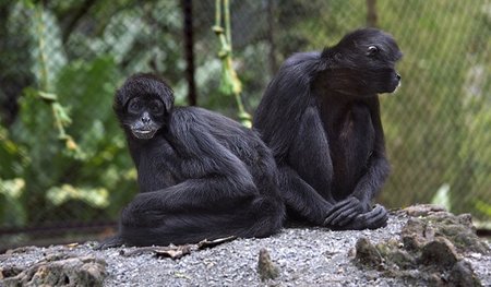 Tarde de zoológico gratis en Córdoba
