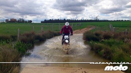 Albi, camino inundado.
