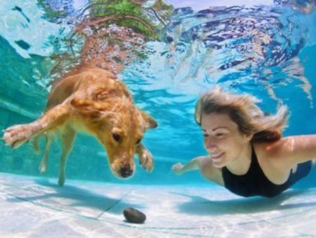 Los perros ya pueden respirar debajo del agua gracias a esta tecnología