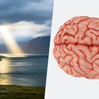 En busca del "botón de Dios": qué le pasa a nuestro cerebro cuando rezamos o meditamos, según la neurociencia