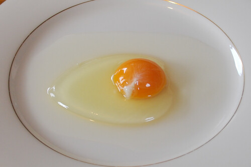 Chicken Egg01 Monovular