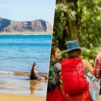 No es que el turismo de masas se haya instalado en Madrid, Barcelona o Roma, es que ha llegado hasta las islas Galápagos