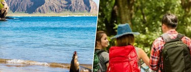 No es que el turismo de masas se haya instalado en Madrid, Barcelona o Roma, es que ha llegado hasta las islas Galápagos 