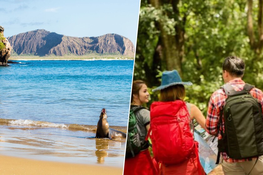 No es que el turismo de masas se haya instalado en Madrid, Barcelona o Roma, es que ha llegado hasta las islas Galápagos