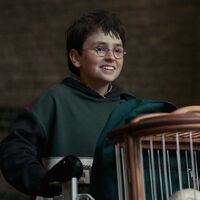 Los actores de Harry Potter tienen tan poco tiempo para rodar que HBO tuvo que "pre-filmar todas las escenas mientras están en clase" 