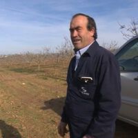 Juan José Chacón, agricultor español: "Antes ganaba 40.000 euros al año con cereal y olivo, ahora hago 650.000 gracias al pistacho" 