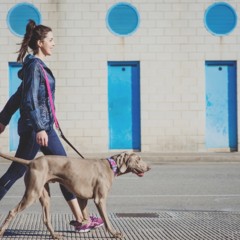 Foto 5 de 9 de la galería brott-barcelona en Trendencias Lifestyle