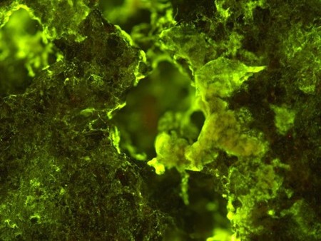 BioRock, un experimento para estudiar la interacción de los microbios con rocas extraterrestres