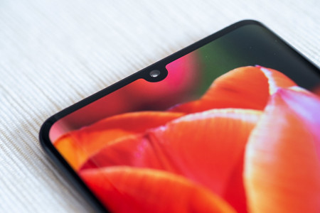 Huawei P30 Notch