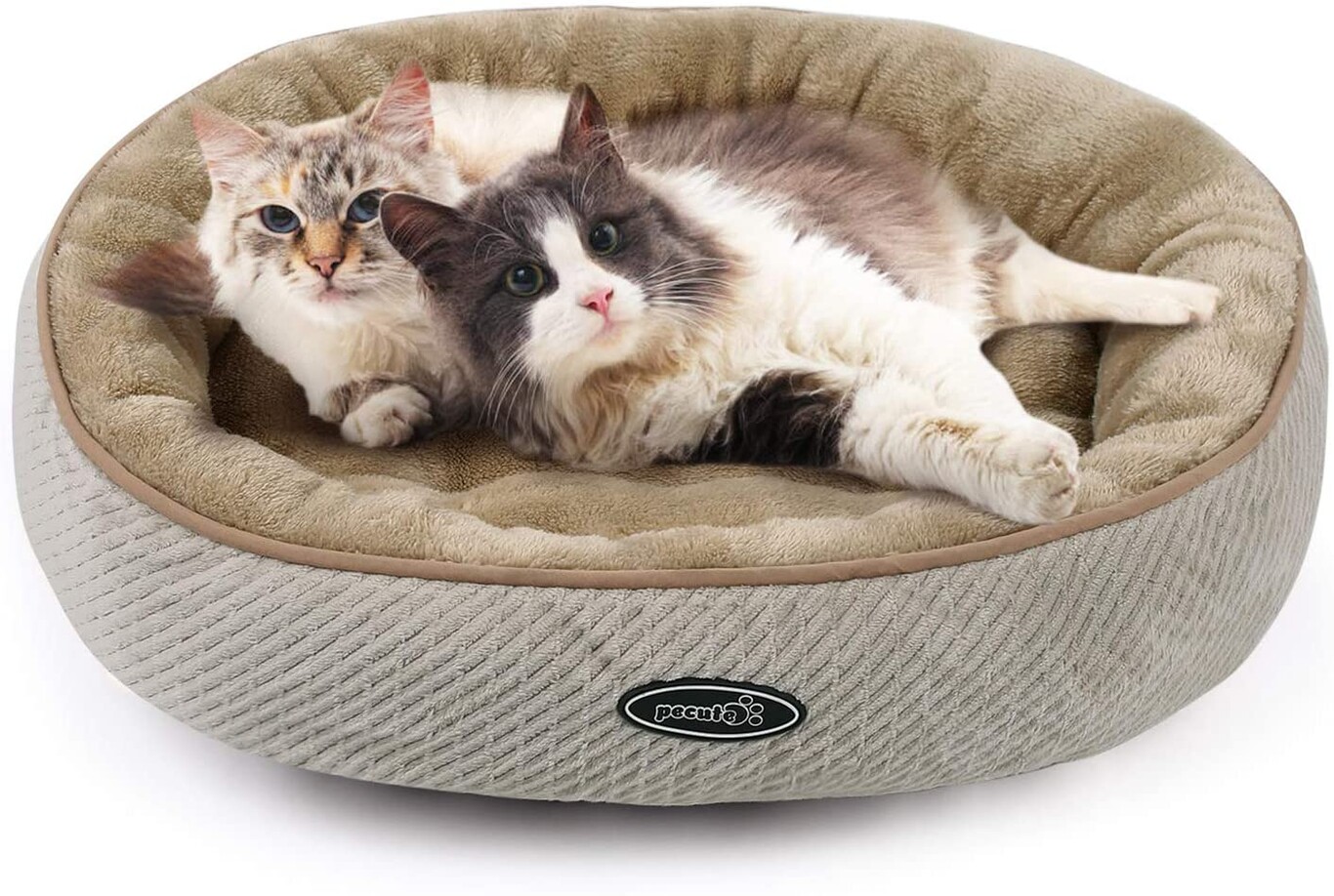 Bolsa Playa Grande Curver- Casa Para Ascotas (Incluye Dos Cojines