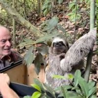 Aos 85 anos, Ney Matogrosso revela seu refúgio de 140 hectares em Saquarema onde já devolveu mais de 10 mil animais silvestres para a Mata Atlântica 
