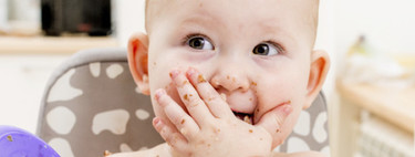 Cómo empiezo el Baby Led Weaning con mi bebé: 11 claves para iniciarte en el método