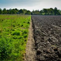 Un agricultor entierra dos calzoncillos de algodón en su granja y demuestra que el suelo sano se los come, lo que es más positivo para el ecosistema