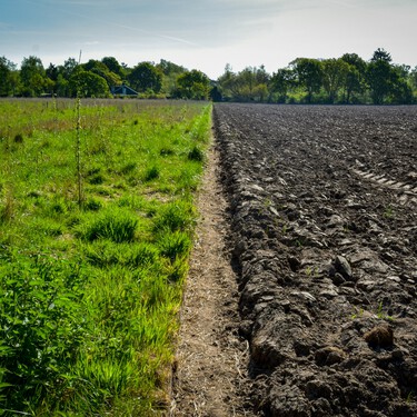 Un agricultor entierra dos calzoncillos de algodón en su granja y demuestra que el suelo sano se los come, lo que es más positivo para el ecosistema