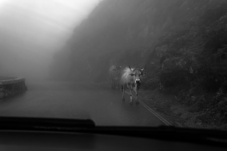 Nuevo método para hacer fotografías en blanco y negro con ayuda de las máscaras de luminosidad (I)