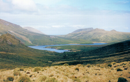 Campbell Island Landscape