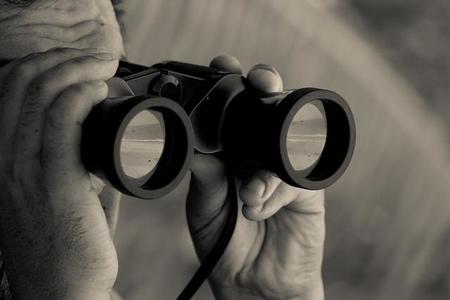 ¿A más contenido publicado en las redes sociales, más visibilidad?