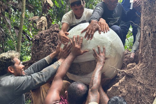 Strange prehistoric spheres found in the Amazon