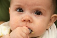 Alimentación complementaria: ¿Cuándo empezar? (I)