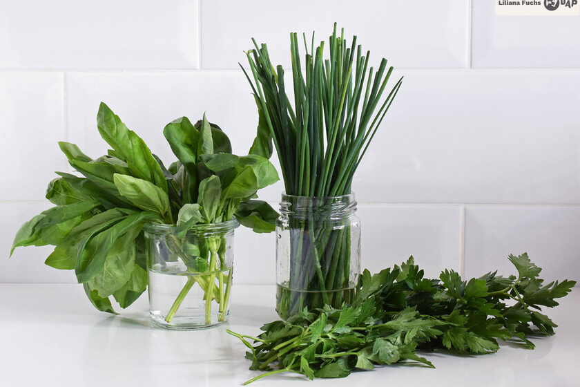 Hierbas Aromaticas