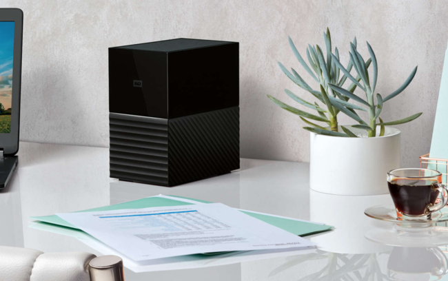 Western Digital My Book Duo 2