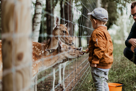 Nino Zoo