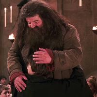 El truco que se usó para darle un tamaño descomunal a Hagrid en Harry Potter con el que querrás ver de nuevo todas las películas
