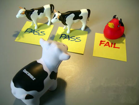 Lecciones aprendidas del testing de aplicaciones software