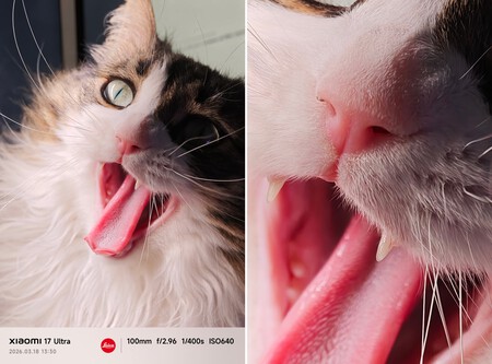 Xiaomi 17 Ultra Gato
