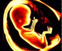 La vacuna contra la rubéola podría no causar daños graves en el feto