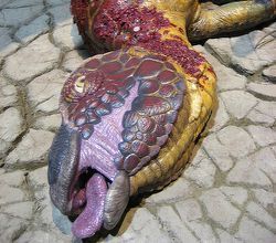 Imágenes del museo de la creación
