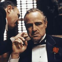 Mario Puzo ganó dos Óscar por El Padrino sin saber escribir guiones y compró un libro para aprender. En el primer capítulo ponía: "Estudie El Padrino I" 