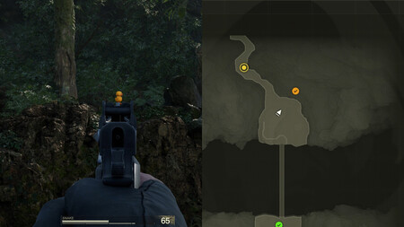 Gako Puente Dolinovodno