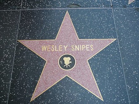 Wesley Snipes irá a la cárcel, y no es el papel de su nueva película