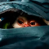 Es oficial: Ya tenemos las primeras imágenes de Gremlins 3, pero llegan con una fecha de estreno que no le va a hacer ninguna gracia a nadie