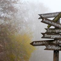 Evita los errores, toma decisiones