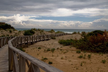 la barrosa