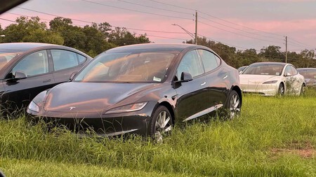 Coches de Tesla en una campa de Florida entre la maleza