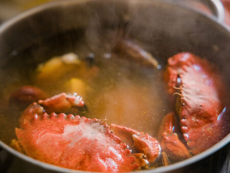 Prohibir Langostas Vivas