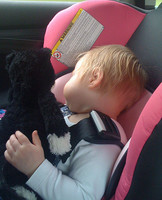 Casi el 30% de los sistemas de retención infantil suspenden en seguridad 