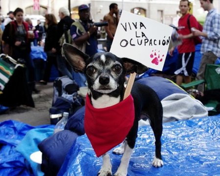 Twitter planta cara al Fiscal que quiere acceder a las cuentas de los indignados de Occupy Wall Street