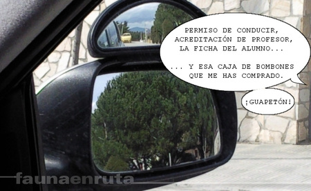 fauna en ruta: mosso d