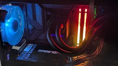 Pxl 20251209 125032010 Portrait